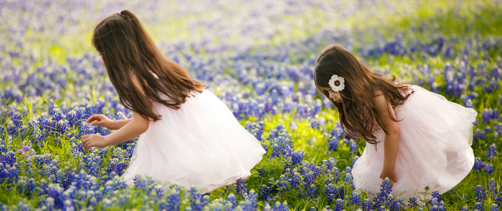 tx blue bonnets-10